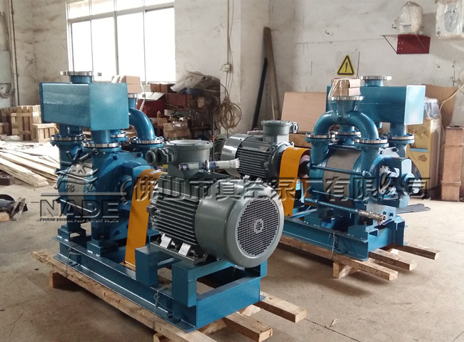 2BE1 202不銹鋼水環(huán)真空泵