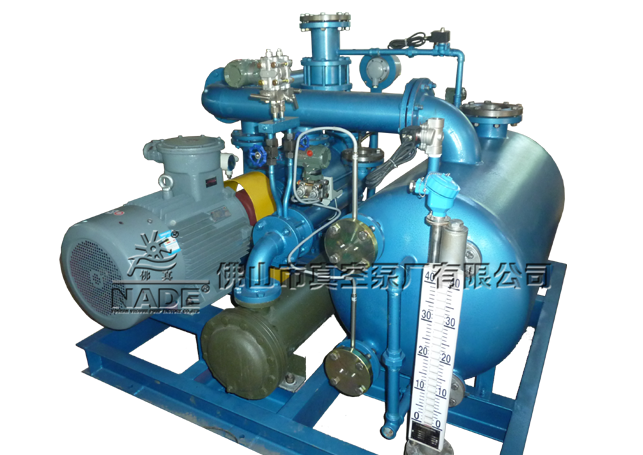 石化行業(yè)真空機組-2BT 252產(chǎn)品整體圖 石化行業(yè)真空機組-2BT 252產(chǎn)品整體圖