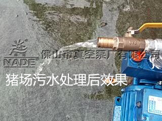 養(yǎng)豬場污水處理 養(yǎng)豬場污水處理